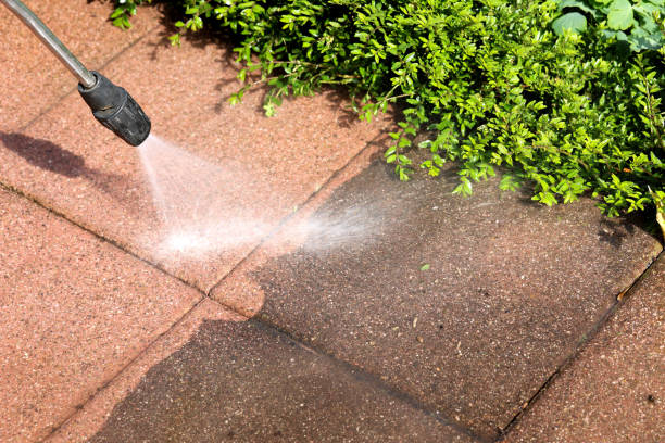 Best Commercial Building Pressure Washing  in Lexington, MS