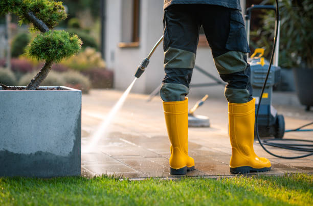 Best Pressure Washing Contractors  in Lexington, MS